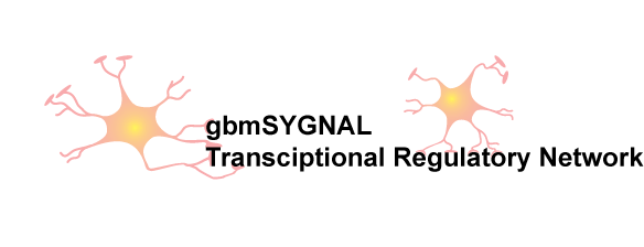 gbmSYGNAL Transcriptional Regulaotry Network