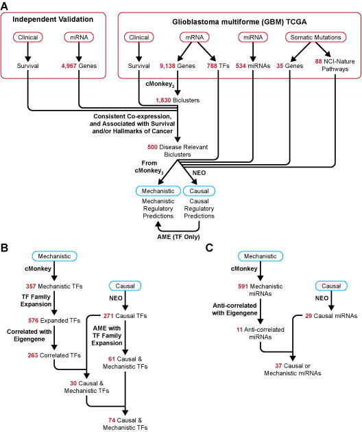 Creating gbmSYGNAL Network