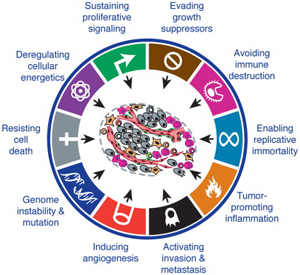 Hallmarks of Cancer