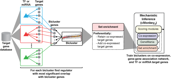 Set Enrichment in cMonkey