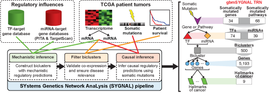SYstems Genetics Network AnaLysis (SYGNAL)